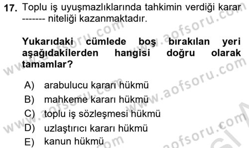 Endüstri İlişkileri Dersi 2021 - 2022 Yılı Yaz Okulu Sınav Soruları 17. Soru