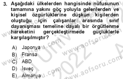 Endüstri İlişkileri Dersi 2022 - 2023 Yılı (Vize) Ara Sınav Soruları 3. Soru