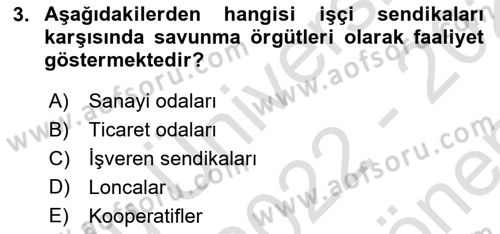 Endüstri İlişkileri Dersi 2022 - 2023 Yılı (Final) Dönem Sonu Sınav Soruları 3. Soru