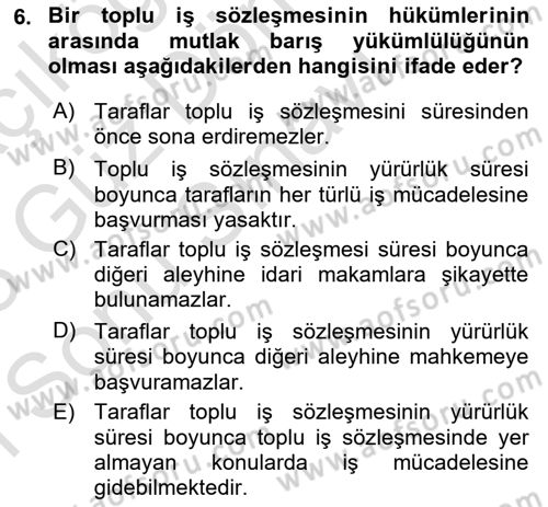 Endüstri İlişkileri Dersi 2022 - 2023 Yılı (Final) Dönem Sonu Sınav Soruları 6. Soru