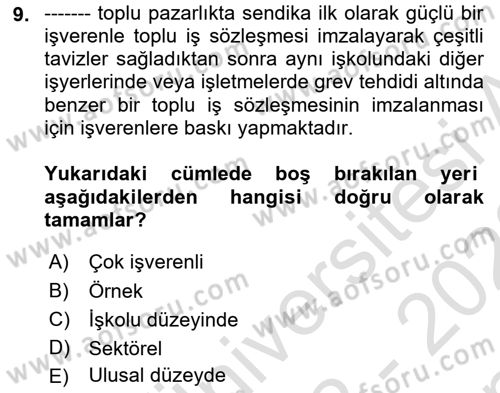 Endüstri İlişkileri Dersi 2022 - 2023 Yılı (Final) Dönem Sonu Sınav Soruları 9. Soru
