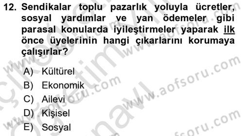 Endüstri İlişkileri Dersi 2022 - 2023 Yılı Yaz Okulu Sınav Soruları 12. Soru
