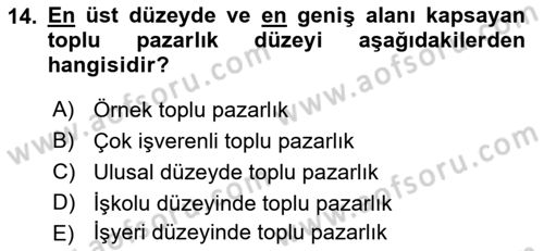 Endüstri İlişkileri Dersi 2022 - 2023 Yılı Yaz Okulu Sınavı 14. Soru