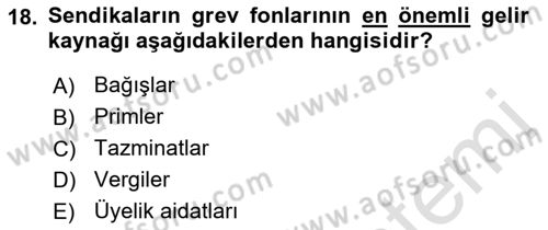 Endüstri İlişkileri Dersi 2022 - 2023 Yılı Yaz Okulu Sınavı 18. Soru