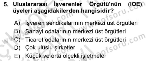 Endüstri İlişkileri Dersi 2022 - 2023 Yılı Yaz Okulu Sınav Soruları 5. Soru