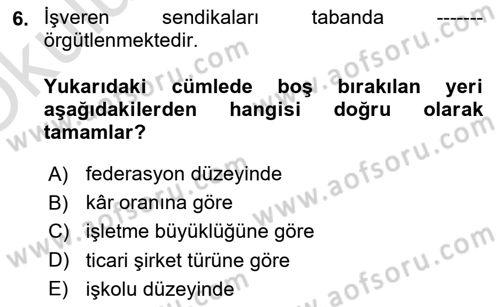 Endüstri İlişkileri Dersi 2022 - 2023 Yılı Yaz Okulu Sınav Soruları 6. Soru