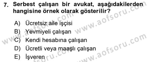 Endüstri İlişkileri Dersi 2022 - 2023 Yılı Yaz Okulu Sınav Soruları 7. Soru
