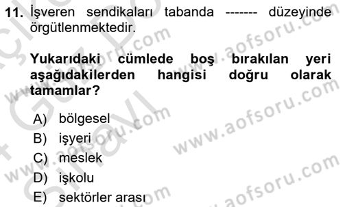 Endüstri İlişkileri Dersi 2023 - 2024 Yılı (Vize) Ara Sınav Soruları 11. Soru
