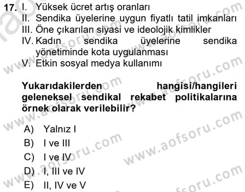 Endüstri İlişkileri Dersi 2023 - 2024 Yılı (Vize) Ara Sınav Soruları 17. Soru