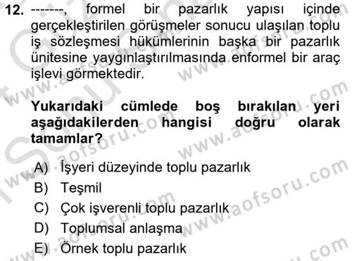 Endüstri İlişkileri Dersi 2023 - 2024 Yılı (Final) Dönem Sonu Sınav Soruları 12. Soru