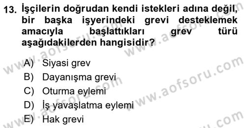 Endüstri İlişkileri Dersi 2023 - 2024 Yılı (Final) Dönem Sonu Sınav Soruları 13. Soru
