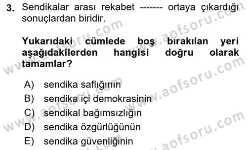 Endüstri İlişkileri Dersi 2023 - 2024 Yılı (Final) Dönem Sonu Sınav Soruları 3. Soru