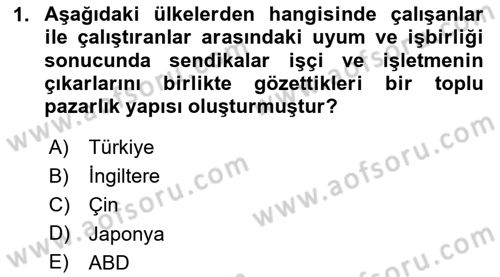 Endüstri İlişkileri Dersi 2023 - 2024 Yılı Yaz Okulu Sınav Soruları 1. Soru