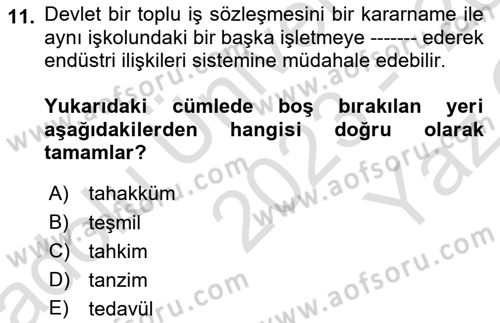 Endüstri İlişkileri Dersi 2023 - 2024 Yılı Yaz Okulu Sınav Soruları 11. Soru