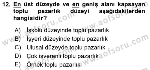 Endüstri İlişkileri Dersi 2023 - 2024 Yılı Yaz Okulu Sınav Soruları 12. Soru