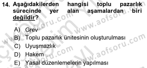 Endüstri İlişkileri Dersi 2023 - 2024 Yılı Yaz Okulu Sınav Soruları 14. Soru