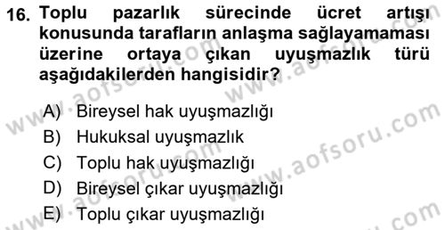 Endüstri İlişkileri Dersi 2023 - 2024 Yılı Yaz Okulu Sınav Soruları 16. Soru