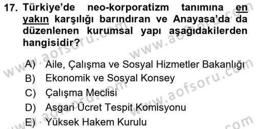 Endüstri İlişkileri Dersi 2023 - 2024 Yılı Yaz Okulu Sınav Soruları 17. Soru