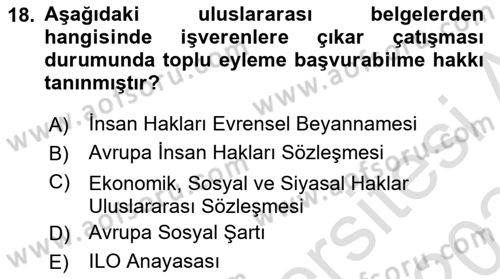 Endüstri İlişkileri Dersi 2023 - 2024 Yılı Yaz Okulu Sınav Soruları 18. Soru