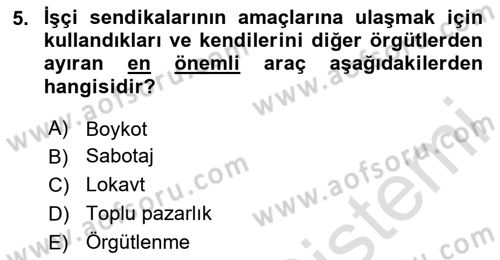 Endüstri İlişkileri Dersi 2023 - 2024 Yılı Yaz Okulu Sınav Soruları 5. Soru