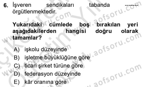 Endüstri İlişkileri Dersi 2023 - 2024 Yılı Yaz Okulu Sınav Soruları 6. Soru