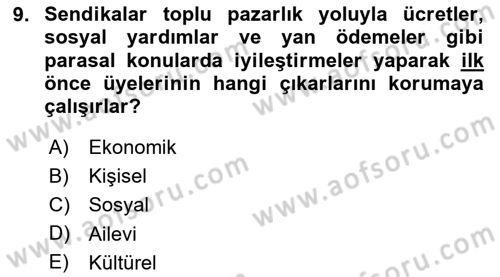 Endüstri İlişkileri Dersi 2023 - 2024 Yılı Yaz Okulu Sınav Soruları 9. Soru