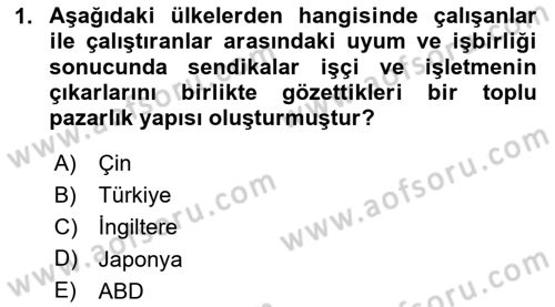 Endüstri İlişkileri Dersi Ara Sınavı Deneme Sınav Soruları 1. Soru