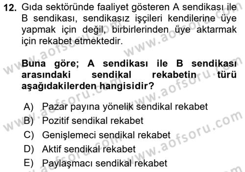 Endüstri İlişkileri Dersi 2024 - 2025 Yılı (Vize) Ara Sınavı 12. Soru