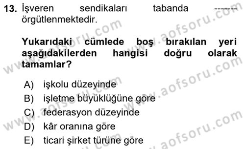 Endüstri İlişkileri Dersi Ara Sınavı Deneme Sınav Soruları 13. Soru