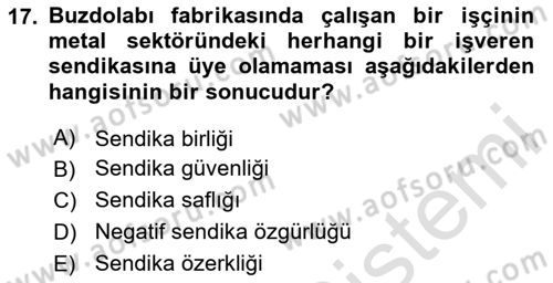 Endüstri İlişkileri Dersi 2024 - 2025 Yılı (Vize) Ara Sınav Soruları 17. Soru