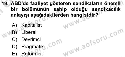 Endüstri İlişkileri Dersi 2024 - 2025 Yılı (Vize) Ara Sınav Soruları 19. Soru