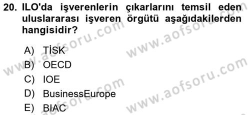 Endüstri İlişkileri Dersi 2024 - 2025 Yılı (Vize) Ara Sınav Soruları 20. Soru