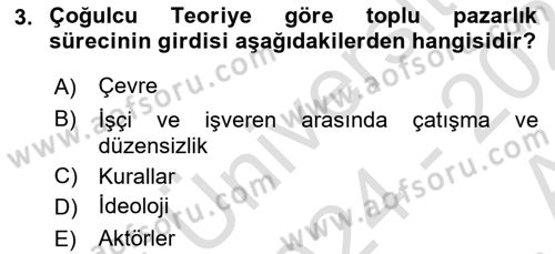 Endüstri İlişkileri Dersi 2024 - 2025 Yılı (Vize) Ara Sınav Soruları 3. Soru