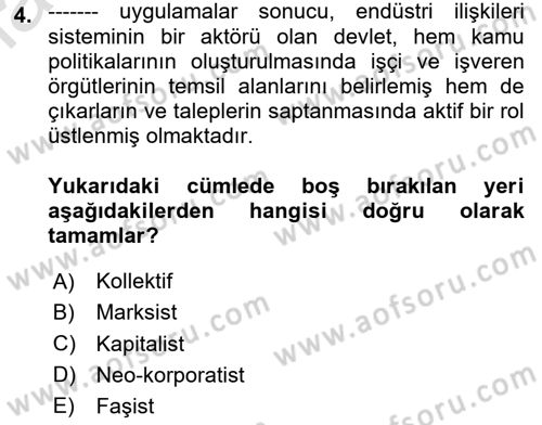Endüstri İlişkileri Dersi 2024 - 2025 Yılı (Vize) Ara Sınav Soruları 4. Soru