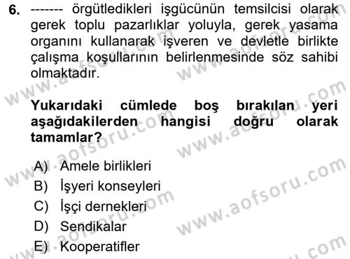 Endüstri İlişkileri Dersi Ara Sınavı Deneme Sınav Soruları 6. Soru