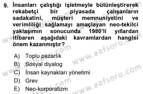 Endüstri İlişkileri Dersi Ara Sınavı Deneme Sınav Soruları 9. Soru