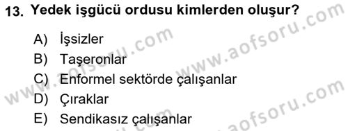Endüstri İlişkileri Dersi 2024 - 2025 Yılı (Final) Dönem Sonu Sınav Soruları 13. Soru