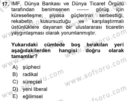 Endüstri İlişkileri Dersi 2024 - 2025 Yılı (Final) Dönem Sonu Sınav Soruları 17. Soru