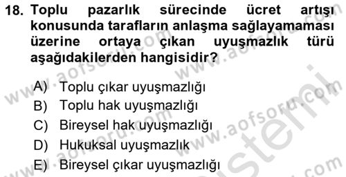 Endüstri İlişkileri Dersi 2024 - 2025 Yılı (Final) Dönem Sonu Sınav Soruları 18. Soru