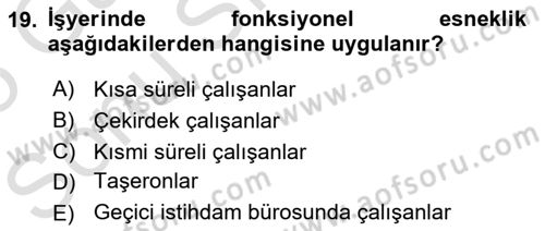 Endüstri İlişkileri Dersi 2024 - 2025 Yılı (Final) Dönem Sonu Sınav Soruları 19. Soru