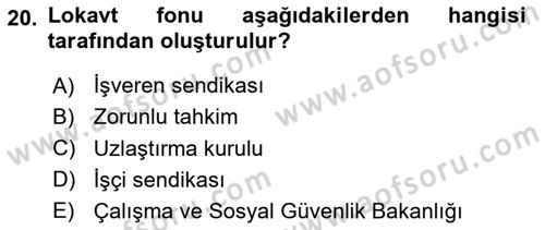 Endüstri İlişkileri Dersi 2024 - 2025 Yılı (Final) Dönem Sonu Sınav Soruları 20. Soru
