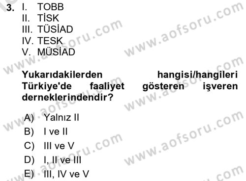 Endüstri İlişkileri Dersi 2024 - 2025 Yılı (Final) Dönem Sonu Sınav Soruları 3. Soru