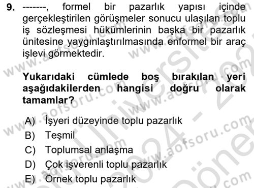 Endüstri İlişkileri Dersi 2024 - 2025 Yılı (Final) Dönem Sonu Sınav Soruları 9. Soru