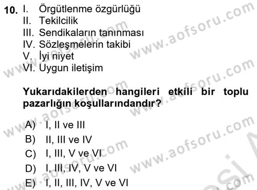 Endüstri İlişkileri Dersi 2024 - 2025 Yılı Yaz Okulu Sınav Soruları 10. Soru