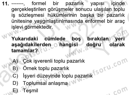 Endüstri İlişkileri Dersi 2024 - 2025 Yılı Yaz Okulu Sınav Soruları 11. Soru