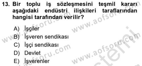 Endüstri İlişkileri Dersi 2024 - 2025 Yılı Yaz Okulu Sınav Soruları 13. Soru