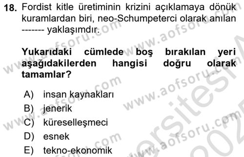 Endüstri İlişkileri Dersi 2024 - 2025 Yılı Yaz Okulu Sınav Soruları 18. Soru