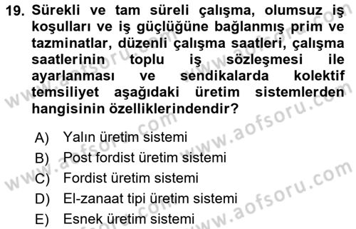 Endüstri İlişkileri Dersi 2024 - 2025 Yılı Yaz Okulu Sınav Soruları 19. Soru