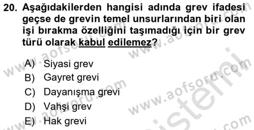 Endüstri İlişkileri Dersi 2024 - 2025 Yılı Yaz Okulu Sınav Soruları 20. Soru