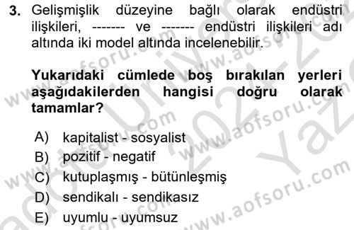 Endüstri İlişkileri Dersi 2024 - 2025 Yılı Yaz Okulu Sınav Soruları 3. Soru